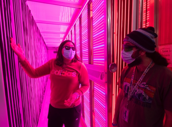 Department of Plant Sciences Chair Gail Taylor inside the school’s vertical farming laboratory.